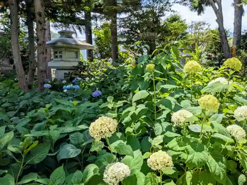 西野神社(北海道)