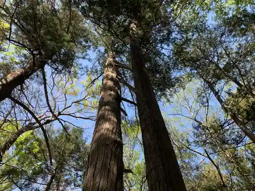 八幡神社の自然
