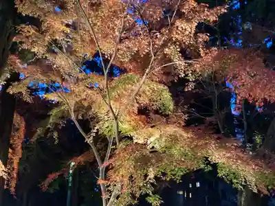 東漸寺(千葉県)