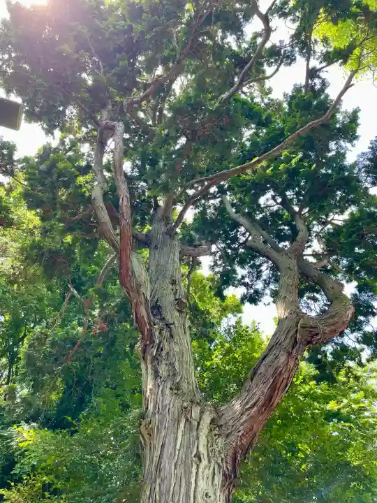 久本神社(神奈川県)