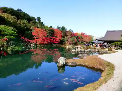 天龍寺(京都府)
