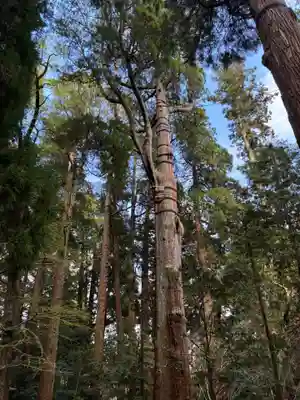 高千穂神社(宮崎県)