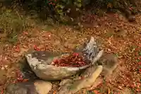 三輪神社の手水舎