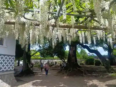 曼陀羅寺(愛知県)