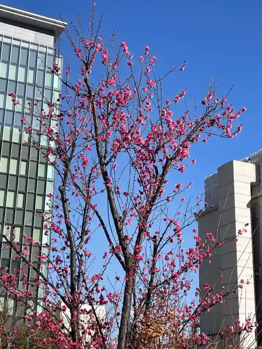 三囲神社(三圍神社)日本橋摂社(東京都)