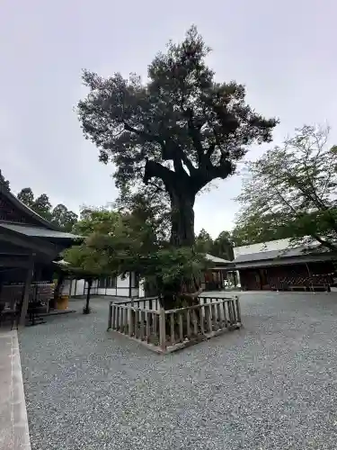 井伊谷宮(静岡県)