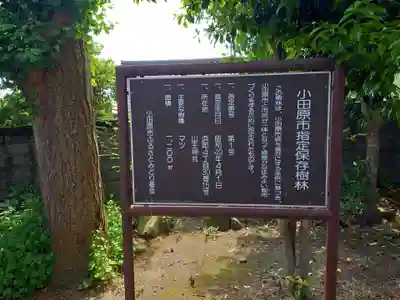 山王神社(神奈川県)