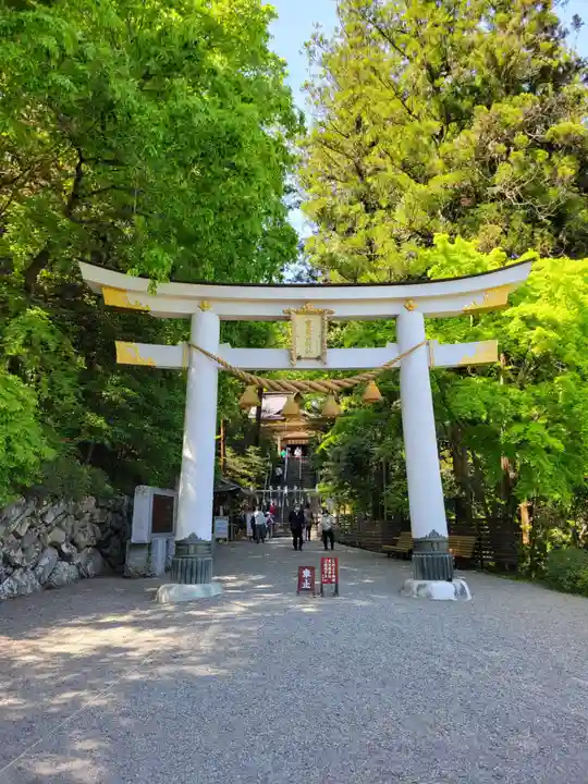 宝登山神社(埼玉県)