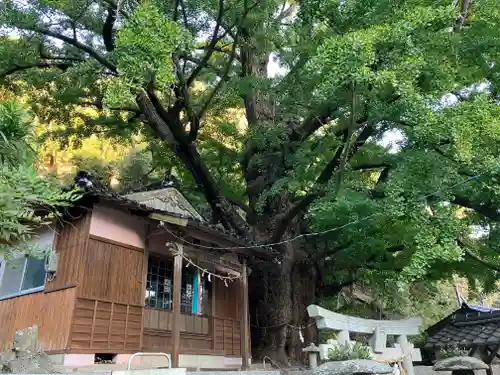 六御前神社(長崎県)