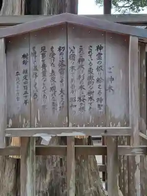 泉神社(茨城県)