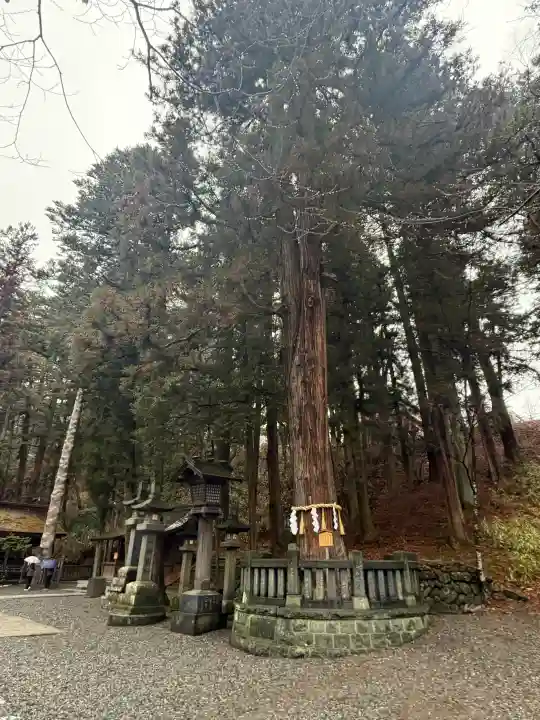 諏訪大社下社春宮の{uncategorized: "未分類", other: "その他", undefined: "問題あり", building: "その他建物", grave: "お墓", sacred_gate: "鳥居", guardian: "狛犬", statue: "像", buddha: "仏像", history: "歴史", nature: "自然", garden: "庭園", animal: "動物", pagoda: "塔", temizu: "手水舎", mountain_gate: "山門・神門", sanctuary: "本殿・本堂", subordinate: "末社・摂社", art: "芸術", scenery: "景色", jizo: "地蔵", ema: "絵馬", goshuin: "御朱印", omikuji: "おみくじ", items: "授与品その他", amulet: "お守り", goshuincho: "御朱印帳", eats: "食事", festival: "お祭り", votive_dance: "神楽", shichigosan: "七五三参", wedding: "結婚式", experience: "体験その他", initially: "初詣", around: "周辺", anti_infection: "感染症対策"}