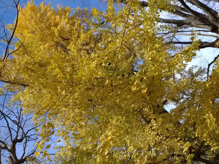 金峯神社(新潟県)