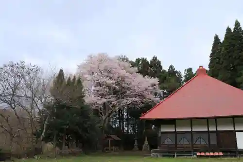 観音寺の本殿・本堂