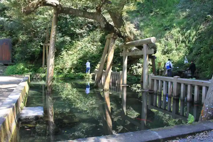 鹿島神宮(茨城県)