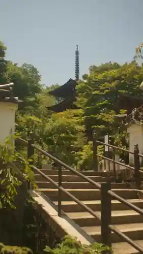 岡寺（龍蓋寺）(奈良県)