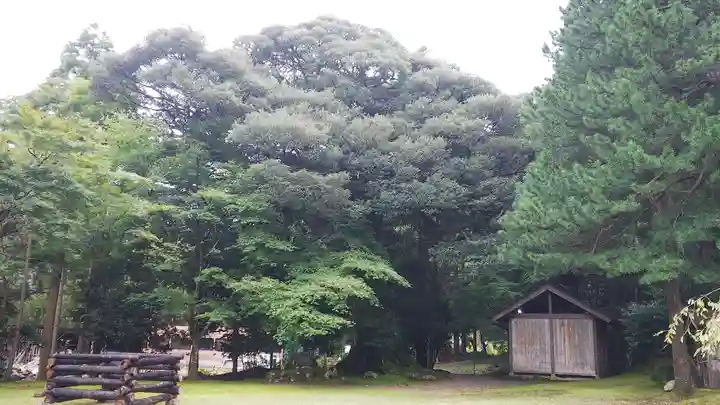 若狭神宮寺(福井県)