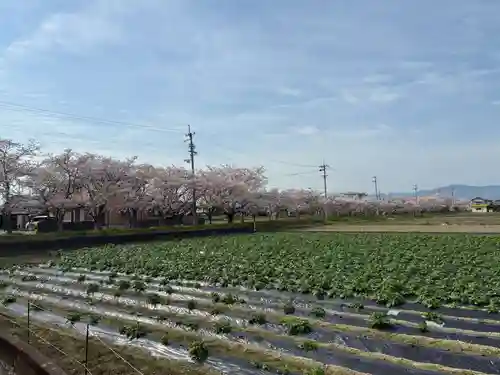 八坂神社(徳島県)