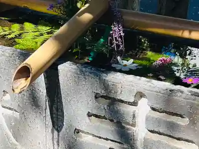 元町厳島神社の手水舎