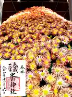 武蔵一宮氷川神社(埼玉県)