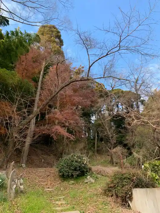 正福寺(千葉県)