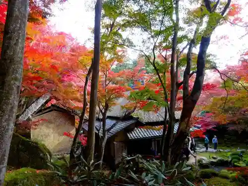 教林坊(滋賀県)