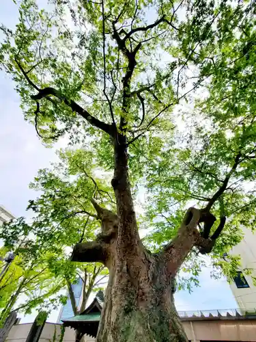 阿邪訶根神社(福島県)
