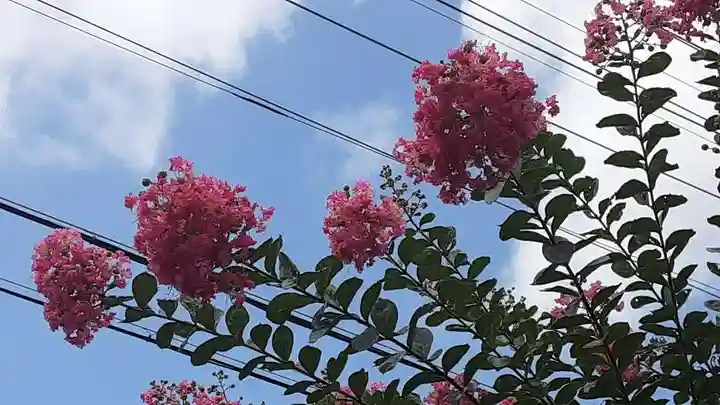 西方山極楽寺(岐阜県)