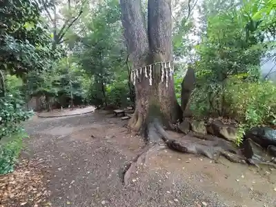代々木八幡宮(東京都)