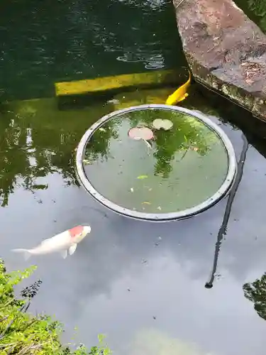 長禅寺(茨城県)