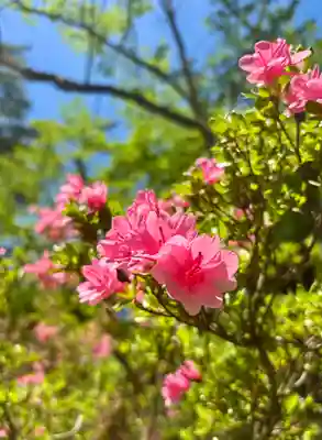 蚊里田八幡宮(長野県)