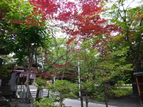 彌彦神社　(伊夜日子神社)の自然