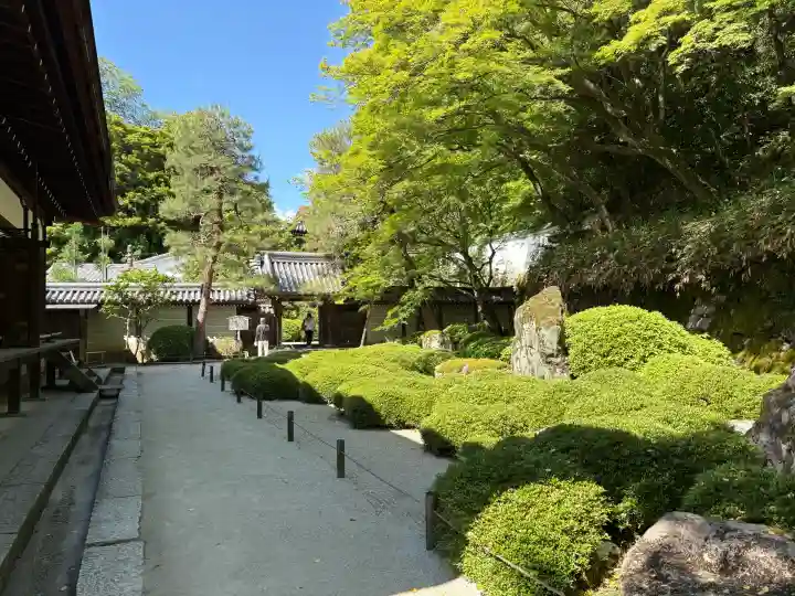 知恩院の{uncategorized: "未分類", other: "その他", undefined: "問題あり", building: "その他建物", grave: "お墓", sacred_gate: "鳥居", guardian: "狛犬", statue: "像", buddha: "仏像", history: "歴史", nature: "自然", garden: "庭園", animal: "動物", pagoda: "塔", temizu: "手水舎", mountain_gate: "山門・神門", sanctuary: "本殿・本堂", subordinate: "末社・摂社", art: "芸術", scenery: "景色", jizo: "地蔵", ema: "絵馬", goshuin: "御朱印", omikuji: "おみくじ", items: "授与品その他", amulet: "お守り", goshuincho: "御朱印帳", eats: "食事", festival: "お祭り", votive_dance: "神楽", shichigosan: "七五三参", wedding: "結婚式", experience: "体験その他", initially: "初詣", around: "周辺", anti_infection: "感染症対策"}