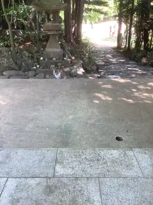 玉野御嶽神社の動物