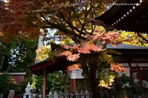 高尾山薬王院の景色