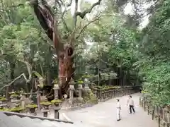 春日大社の建物その他