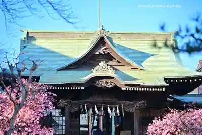 桜神宮(東京都)