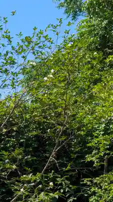 東林院(京都府)