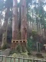 御岩神社の自然