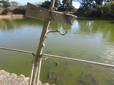 大瀬神社の周辺