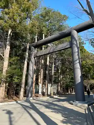 北海道神宮の鳥居