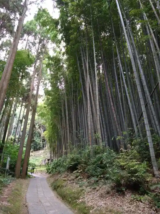 武雄神社(佐賀県)