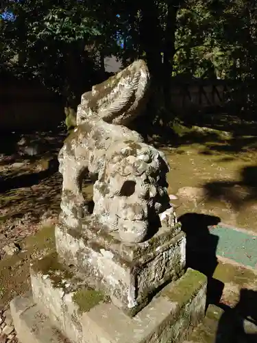 出雲大社北島国造館 出雲教の狛犬