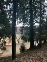 大宮温泉神社(栃木県)