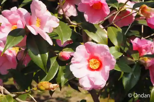 城南宮(京都府)