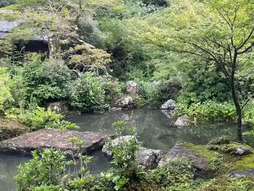 実相院門跡(京都府)