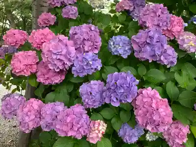 御裳神社の自然