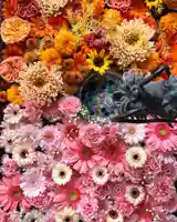 札幌諏訪神社の手水舎