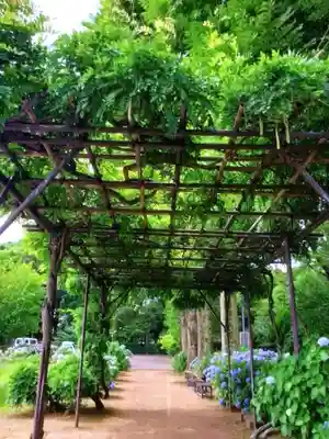 妙法寺(東京都)