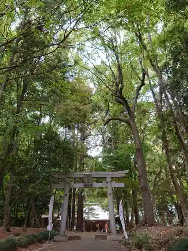 東蕗田天満社のその他建物