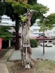 豊烈神社(山形県)